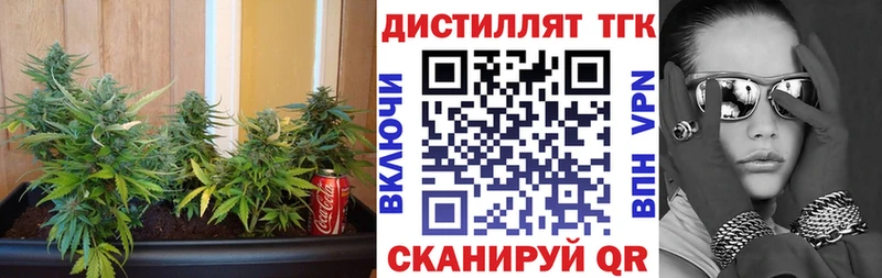 KRAKEN ссылка  Нолинск  Дистиллят ТГК THC oil 