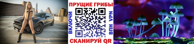 Галлюциногенные грибы GOLDEN TEACHER  Нолинск 